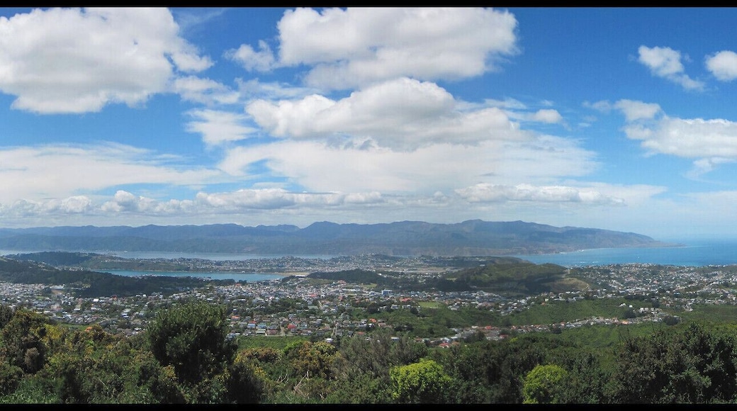 View of Wellington harbour (left) to Island Bay (right) from atop the hill at the Wellington Wind Turbine.