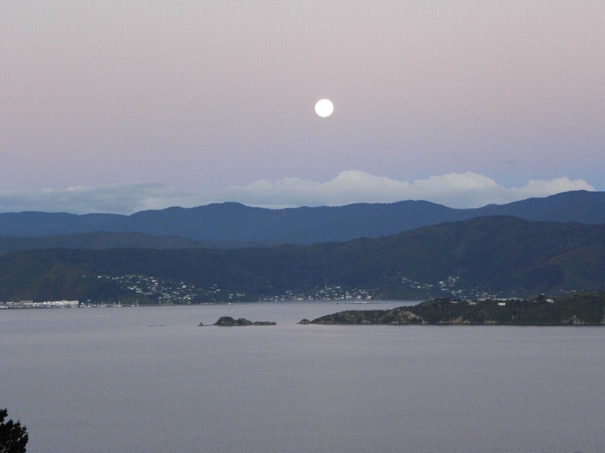 #TroveOn Wellington in moonlight with the Rimutaka hills in the background.