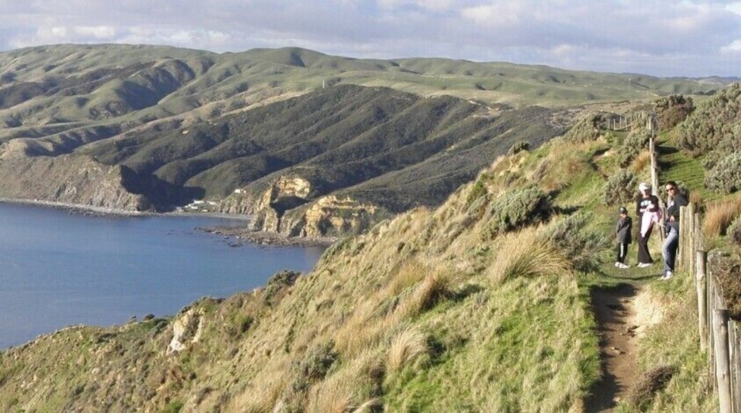 #TroveOn Enjoyed the views of the bay after a 2-3 hour climb.