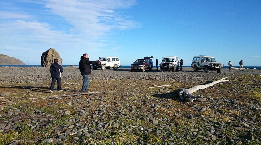 The end point of the Seal Coast Safari in Wellington. It was an awesome experience! Three hours of off road drive over the hills and down to the beach to see seals.