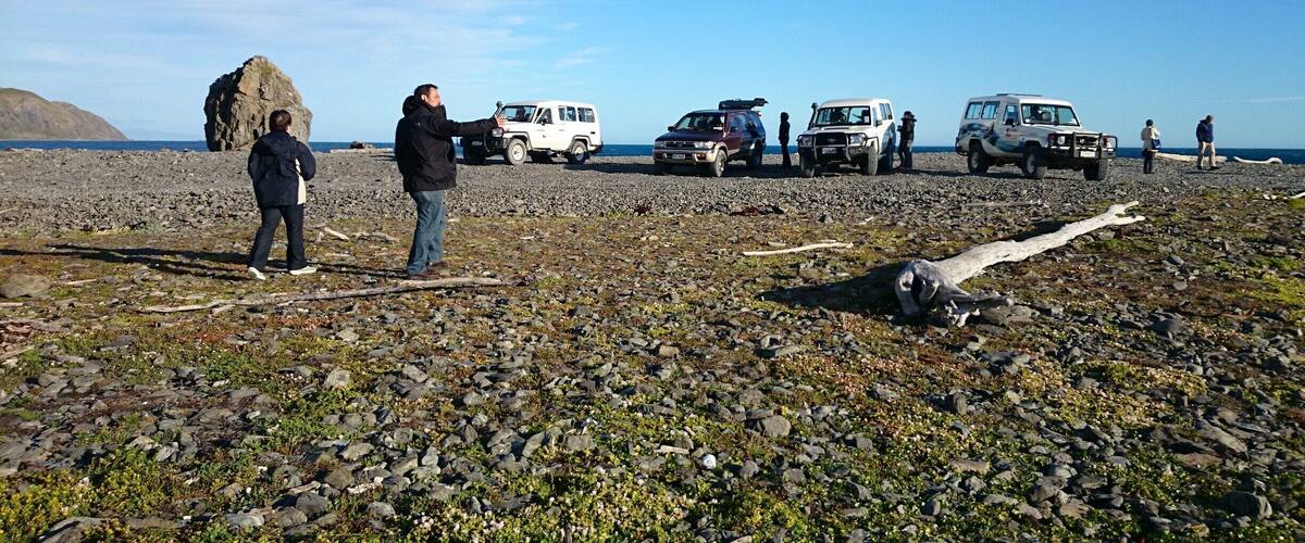 The end point of the Seal Coast Safari in Wellington. It was an awesome experience! Three hours of off road drive over the hills and down to the beach to see seals.