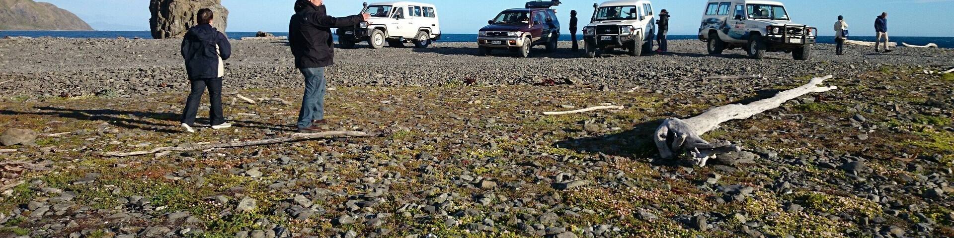 The end point of the Seal Coast Safari in Wellington. It was an awesome experience! Three hours of off road drive over the hills and down to the beach to see seals.