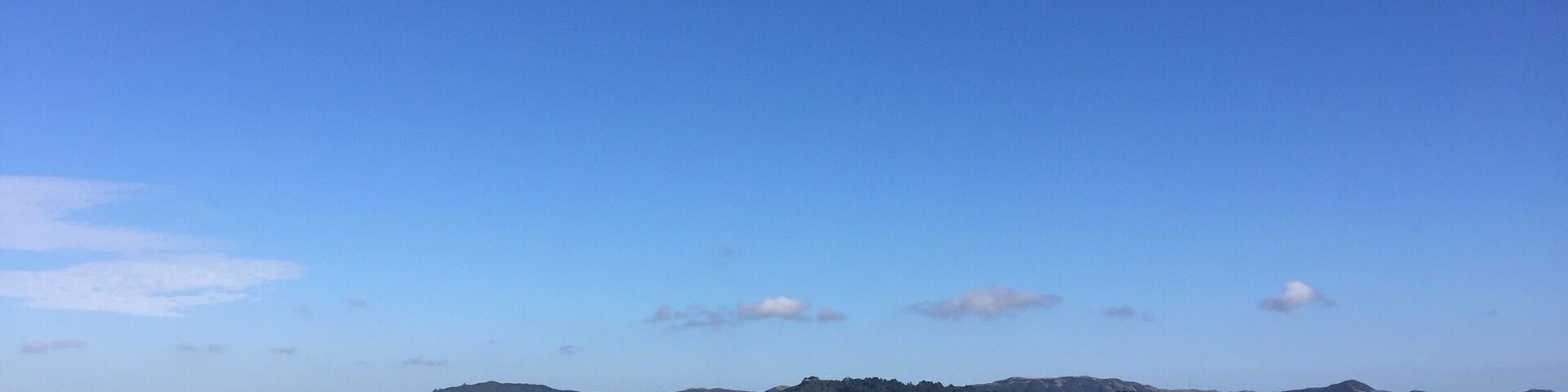 Amazing lookout point at the top of Mount Victoria just above downtown Wellington. This is looking down at the city itself, but an equally expansive view of the Miramar peninsula on the other side of the city is right behind you. #merch