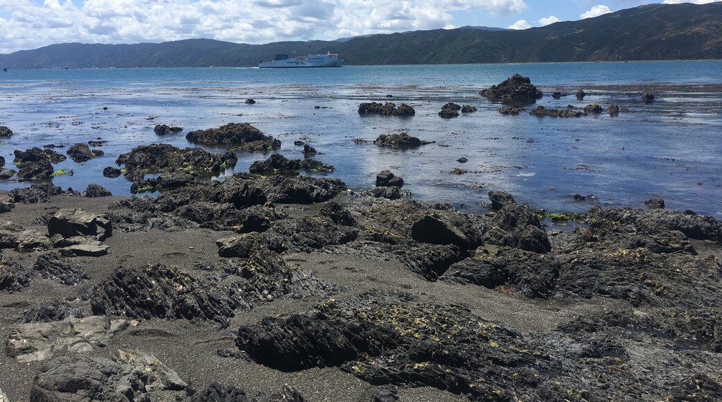 Picton Ferry leaving the Wellington harbour