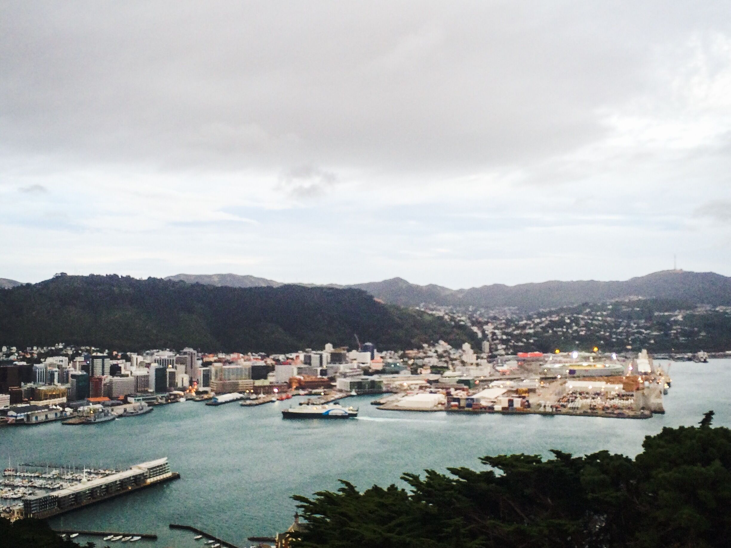 Views over Wellington city on an autumn evening 