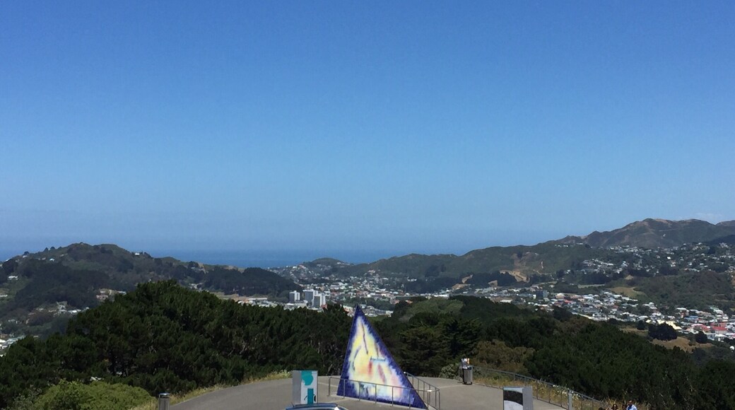 The view from the top of Mount Victoria