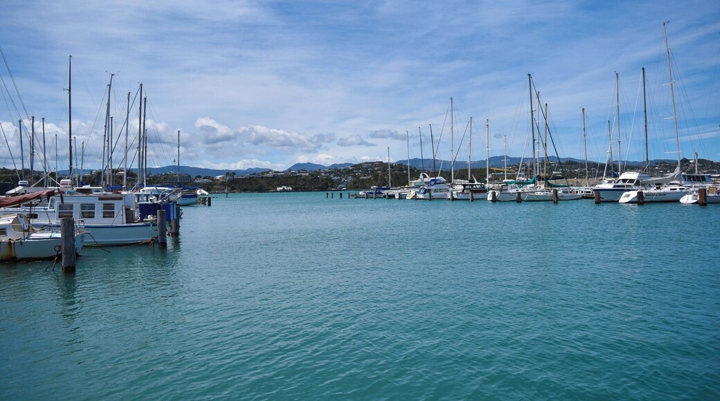 On the way to the airport or nearby suburbs, stop for a wander down the beach here. Or, park here and walk right around to Oriental Bay and the Wellington waterfront - it's so beautiful all the way along! You can see the 'Wowington' sign in the distance too :)
