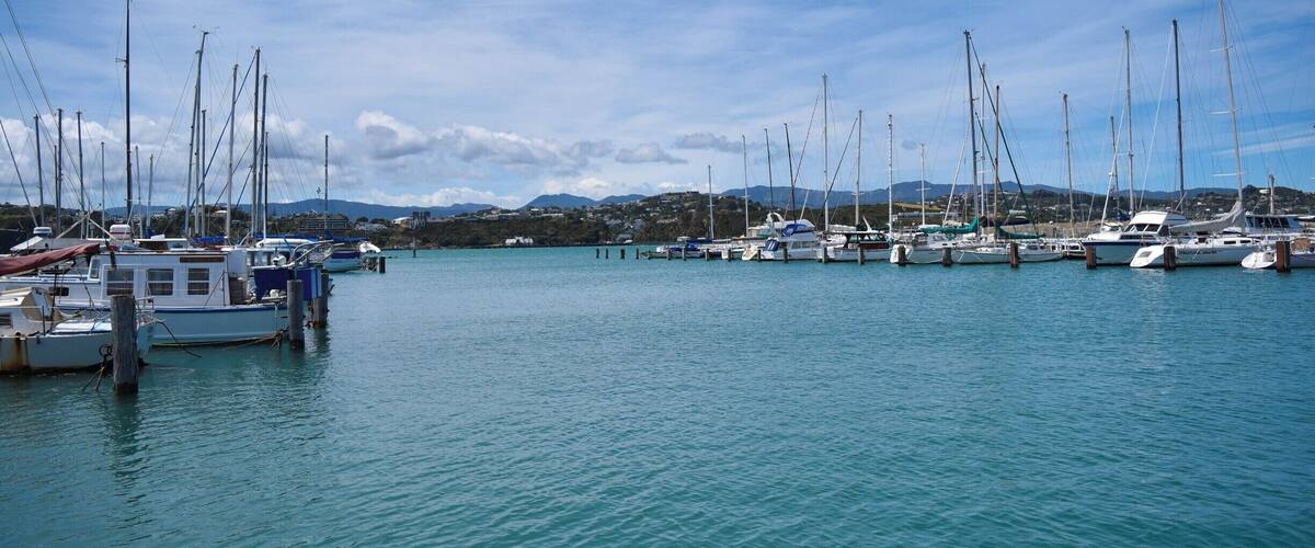On the way to the airport or nearby suburbs, stop for a wander down the beach here. Or, park here and walk right around to Oriental Bay and the Wellington waterfront - it's so beautiful all the way along! You can see the 'Wowington' sign in the distance too :)