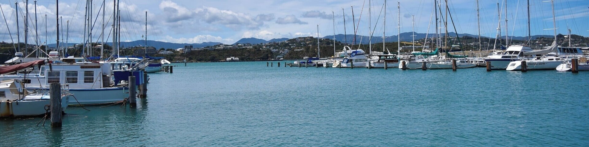 On the way to the airport or nearby suburbs, stop for a wander down the beach here. Or, park here and walk right around to Oriental Bay and the Wellington waterfront - it's so beautiful all the way along! You can see the 'Wowington' sign in the distance too :)