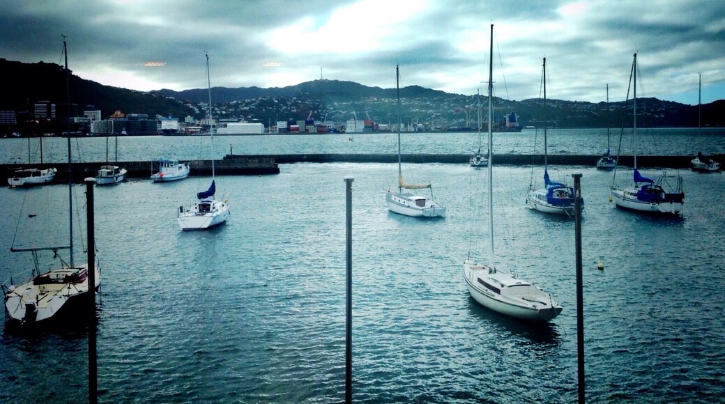 At the wharf, Wellington New Zealand
-#NZ #NewZealand