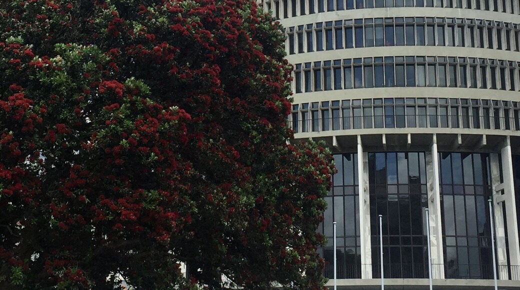 There's an interesting l, free tour around the Beehive