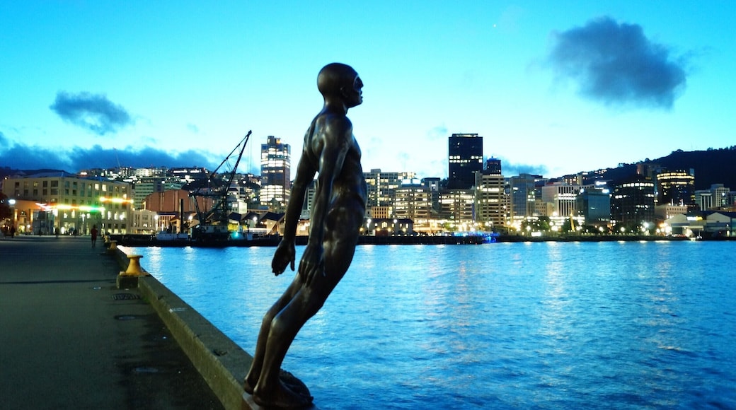 If you were in Wellington you have a photo like this one :)