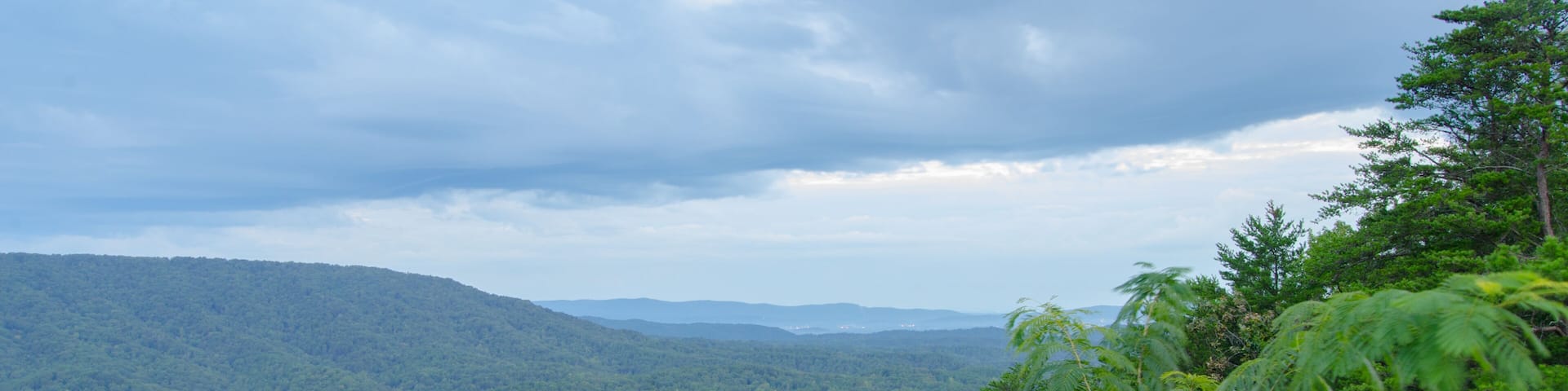 A variety of plants frame a view of a valley looking towards Anniston, Alabama, USA from a scenic overlook in the Talladega National Forest