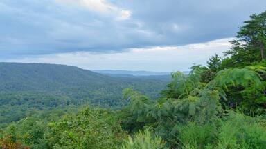 A variety of plants frame a view of a valley looking towards Anniston, Alabama, USA from a scenic overlook in the Talladega National Forest