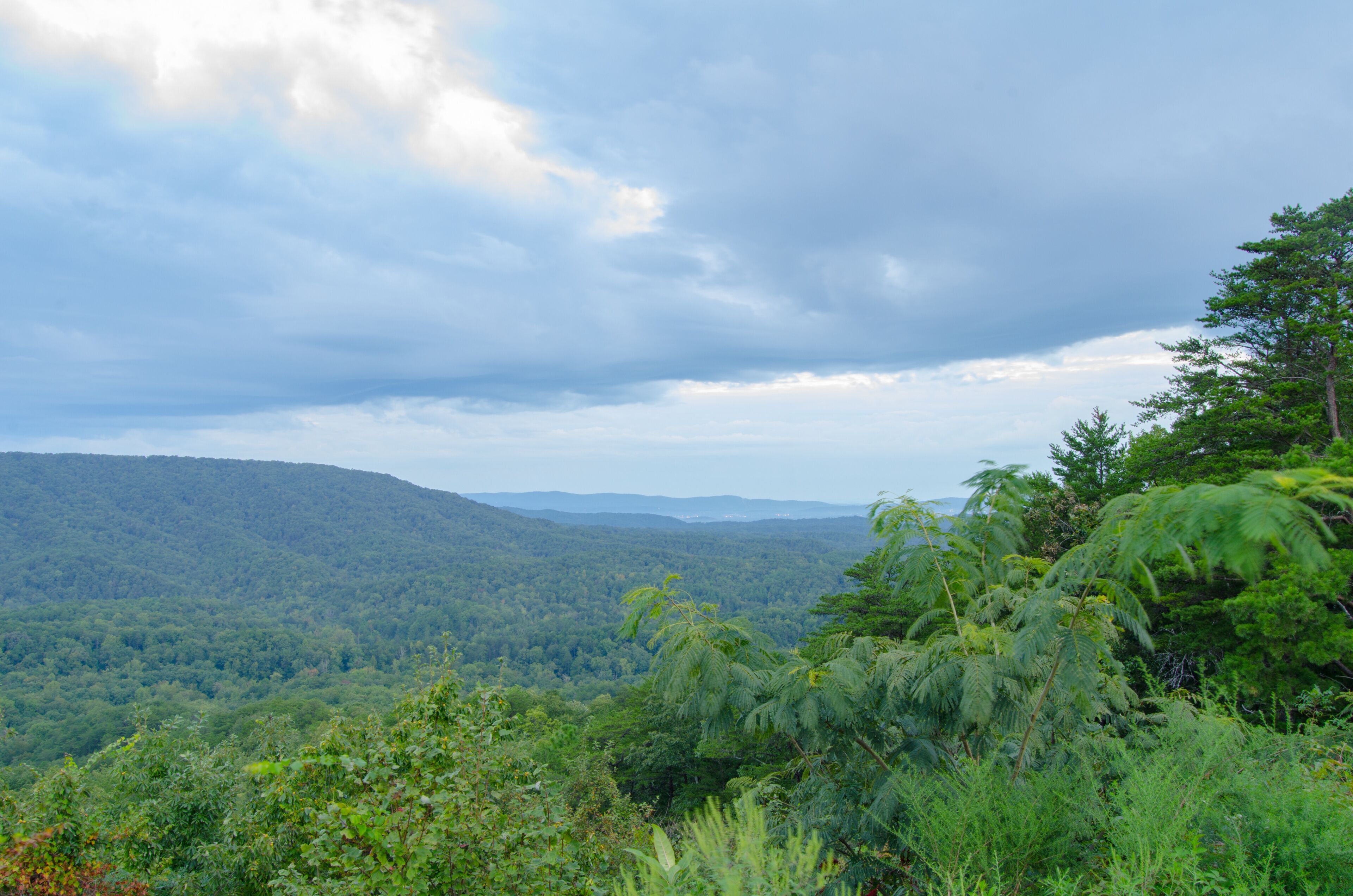 A lush green valley with dense forest, rolling hills, and a cloudy sky.