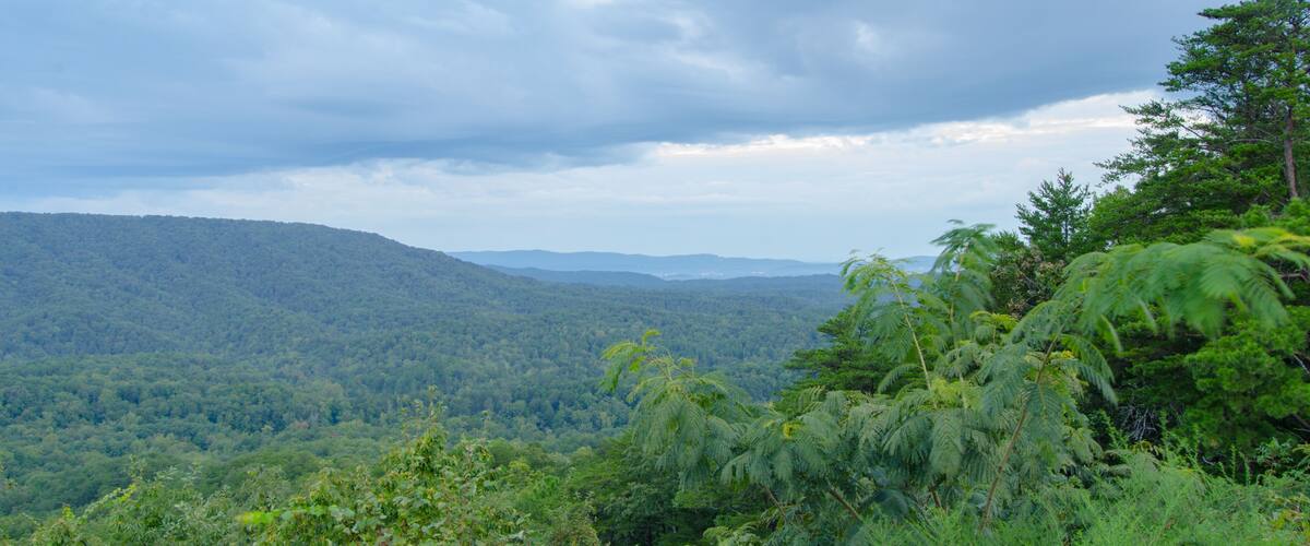 A lush green valley with dense forest, rolling hills, and a cloudy sky.