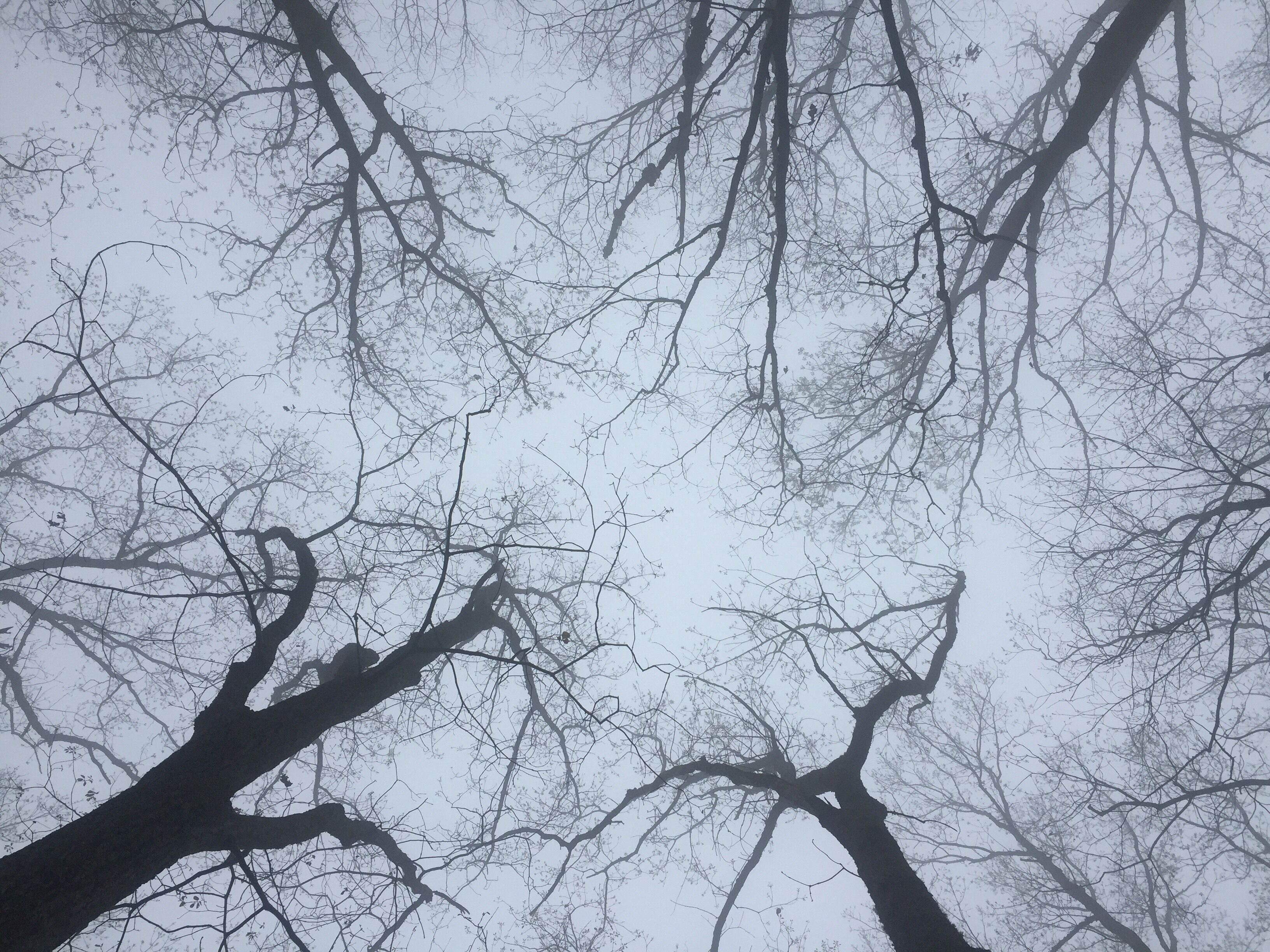 Mountain bike trail in Coldwater