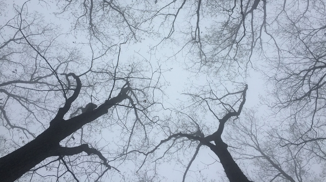 Mountain bike trail in Coldwater