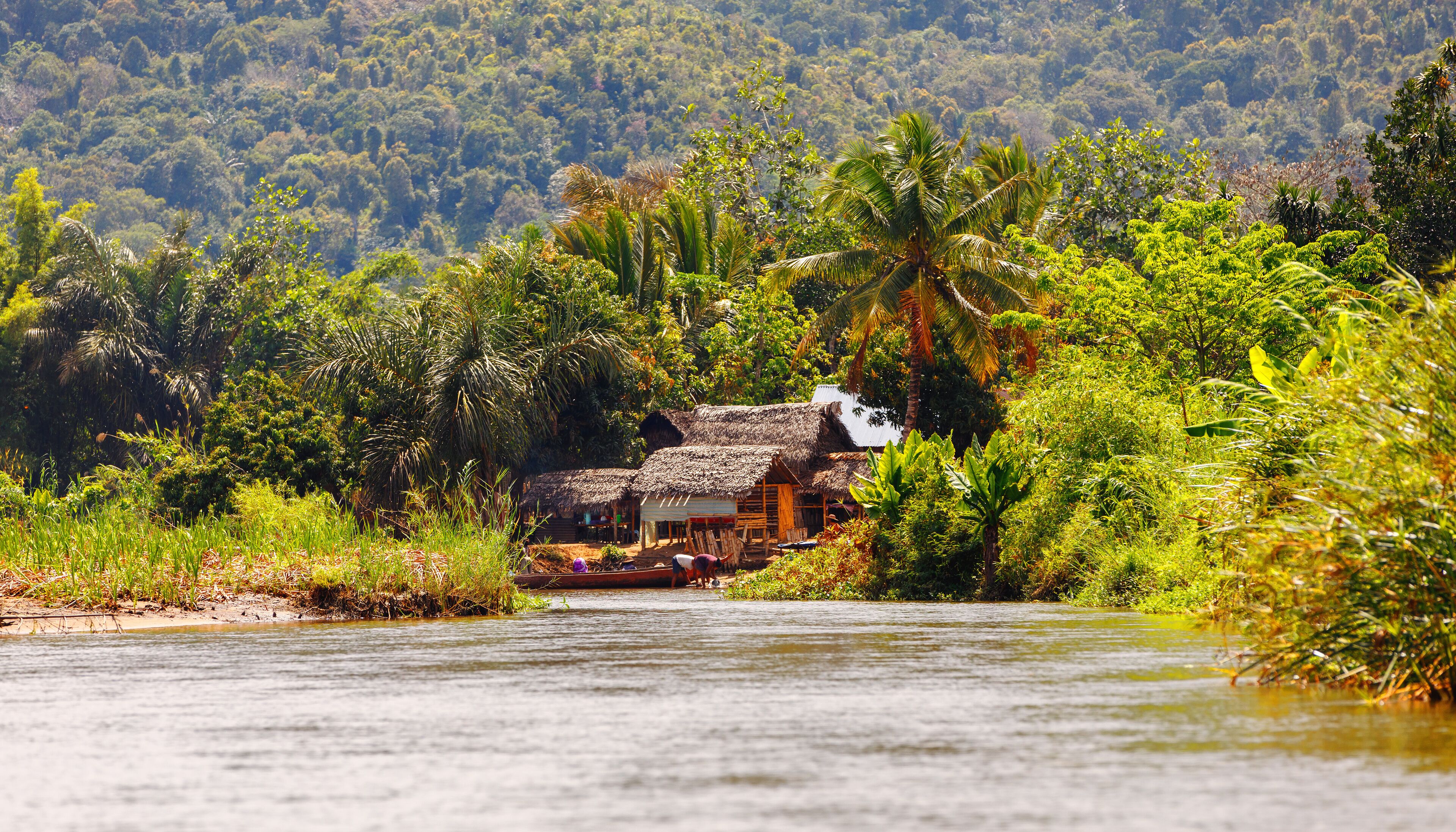 Madagascar river Antainambalana landscape in Tamatave province near Maroantsetra. Countriside wilderness pure natural scene in Madagascar