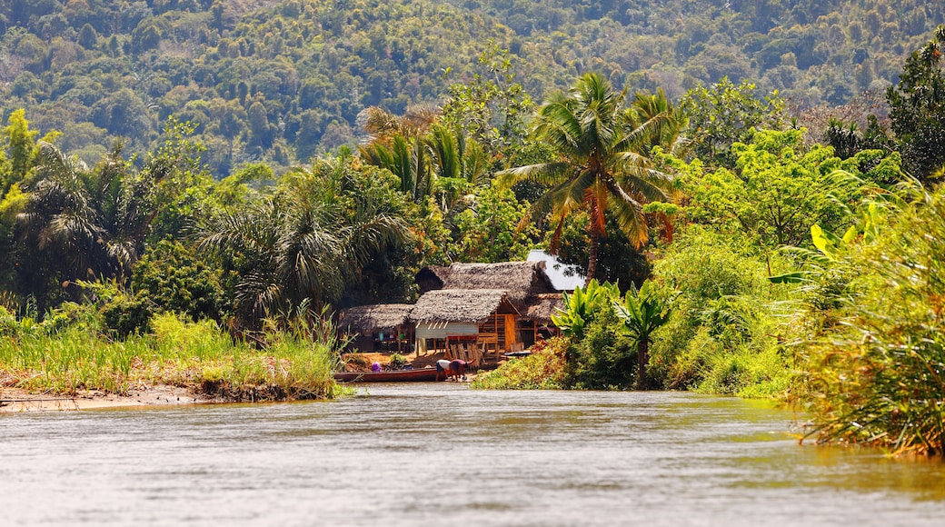 Madagascar river Antainambalana landscape in Tamatave province near Maroantsetra. Countriside wilderness pure natural scene in Madagascar