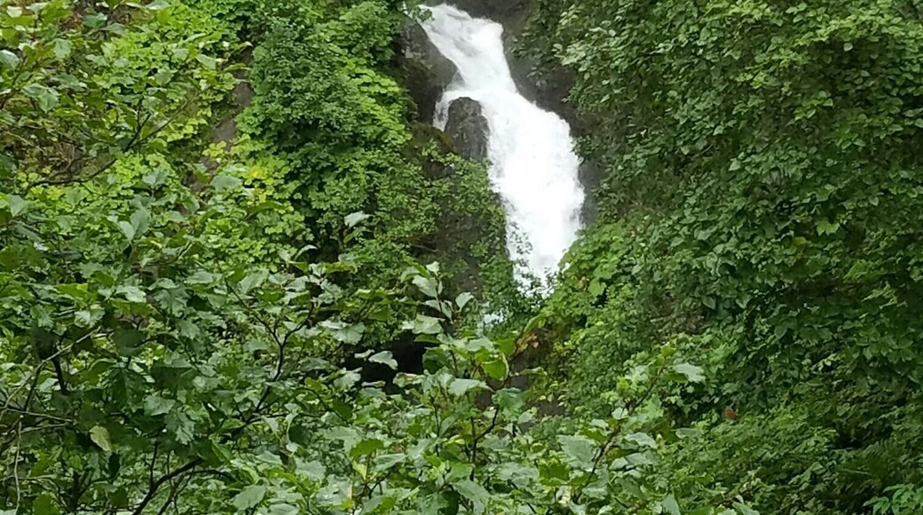 Awesome hike and its super green (in the summer that is) fairly easy too. If that's your thing