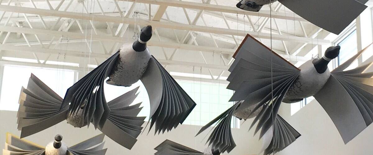 Just running errands today... Kinda cool and rainy, but visited the local library where we found this fun display of snow geese made of open books...
