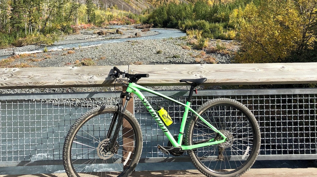 Took the pistachio 🚲 for a ride down the Eklutna Lakeside trail. Fall is the best time of year to be out here.
_
#Adventure #EklutnaLakesidetrail #EklutnaLake #Specialized
