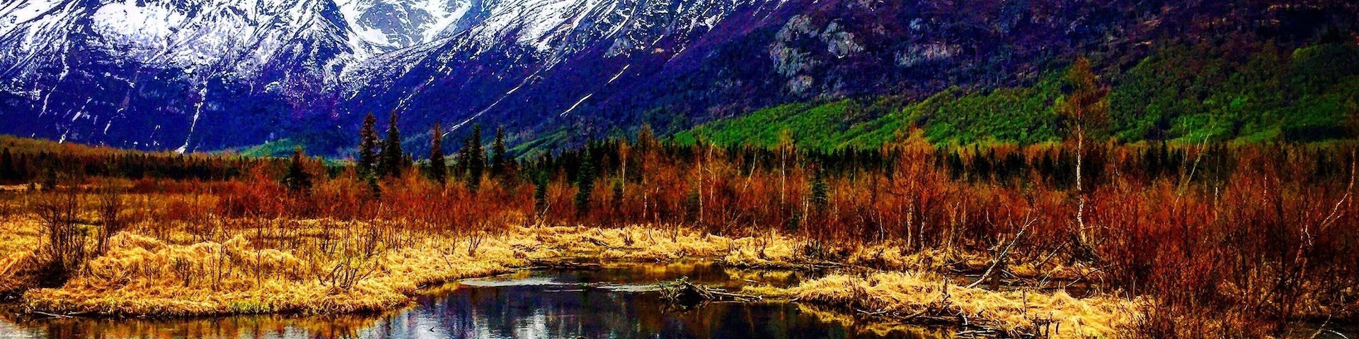 Eagle Creek, Alaska - about 60 moles South of Anchorage.