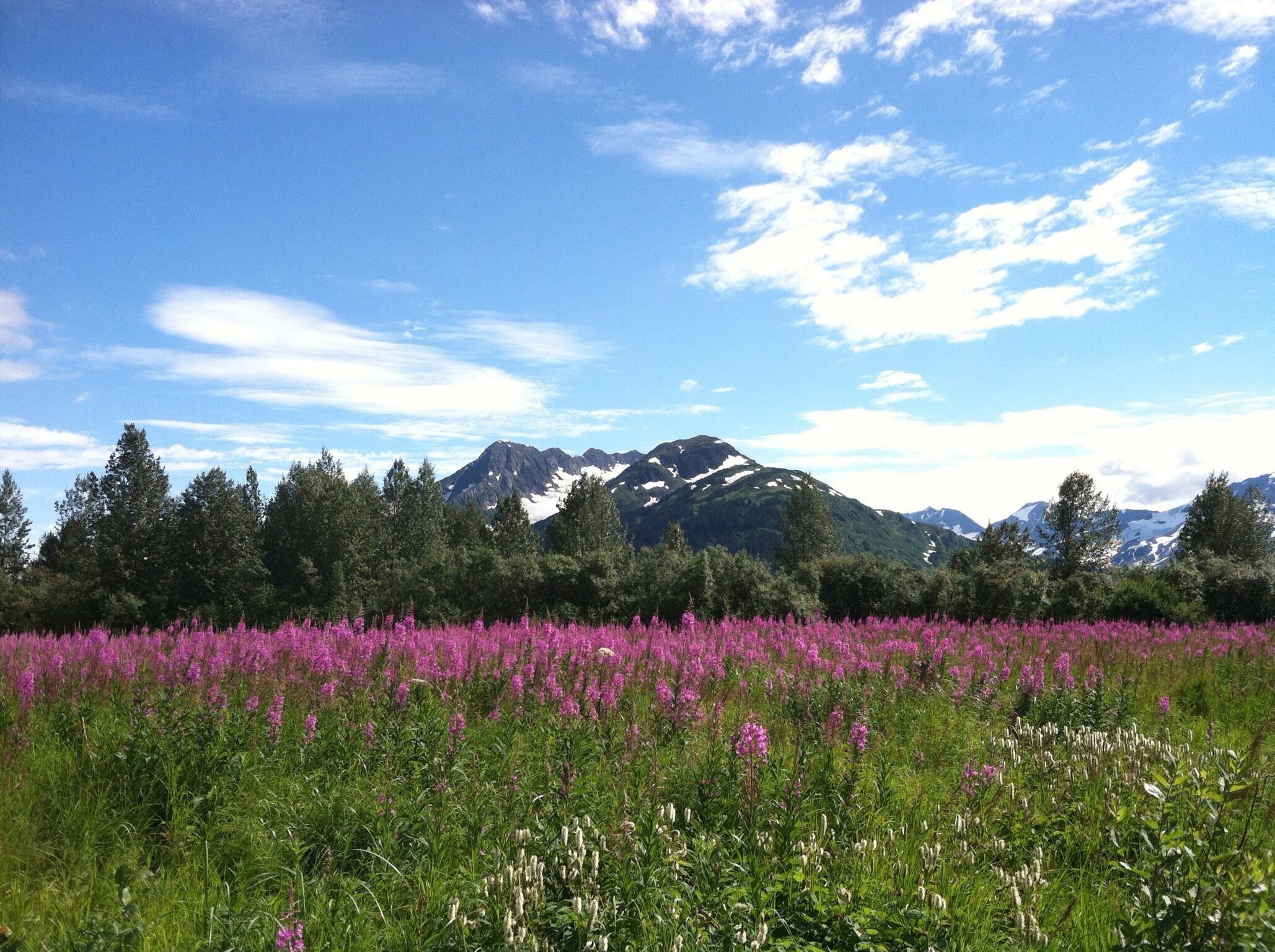 Alaska Wildlife Conservatory. Beautiful! #colorful