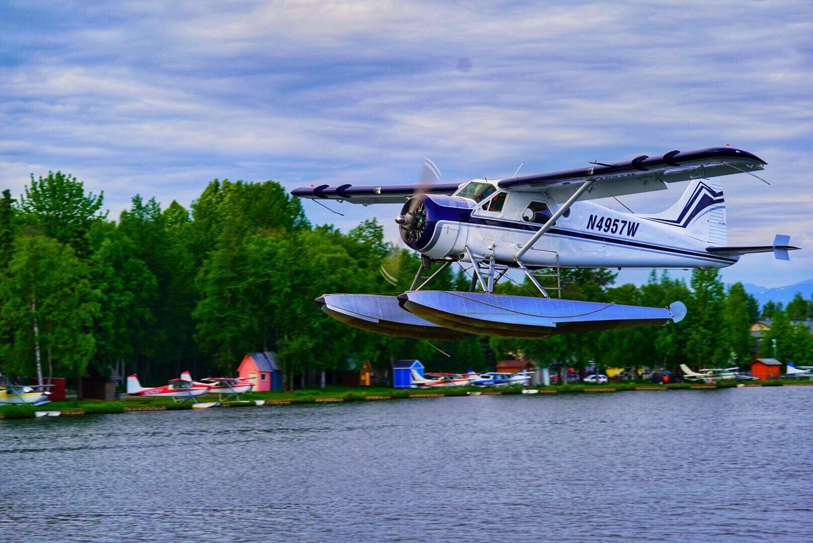 Could almost reach out and touch them as they landed...