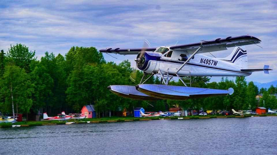 Could almost reach out and touch them as they landed...