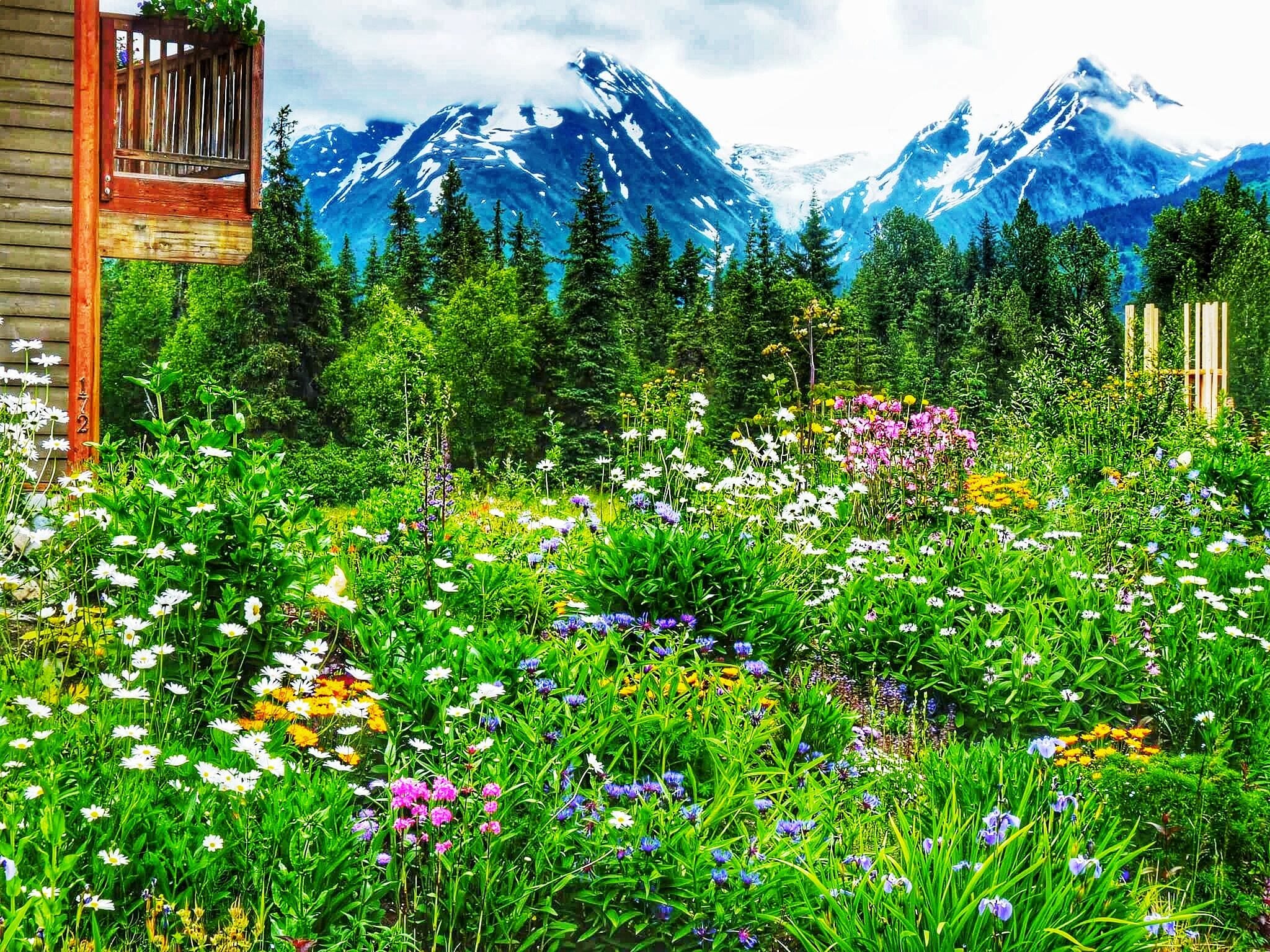 A garden with diverse flowers and a backdrop of snow-capped mountains.