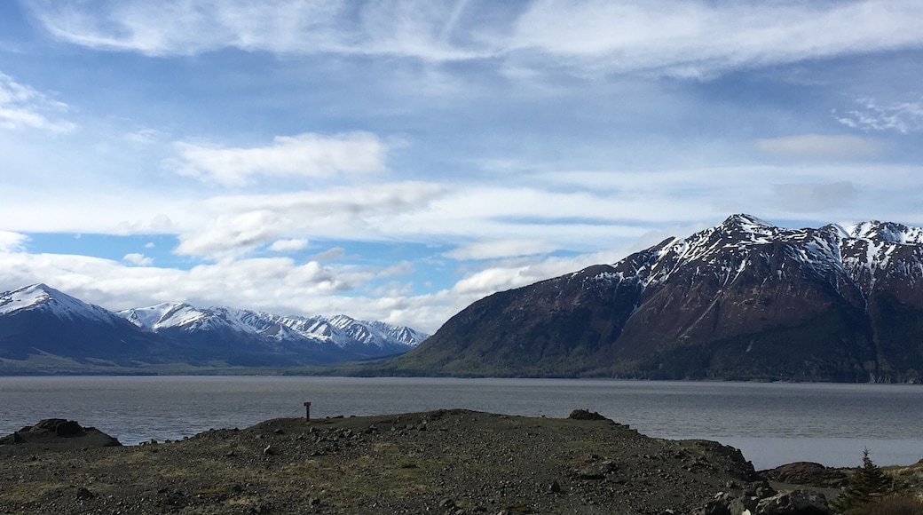 Traveling through Anchorage area and stopped at Beluga Point which is south along the Seward Highway. No whales but there is about 30 foot tide change and surrounding mountains still covered in the snow at the end of May.