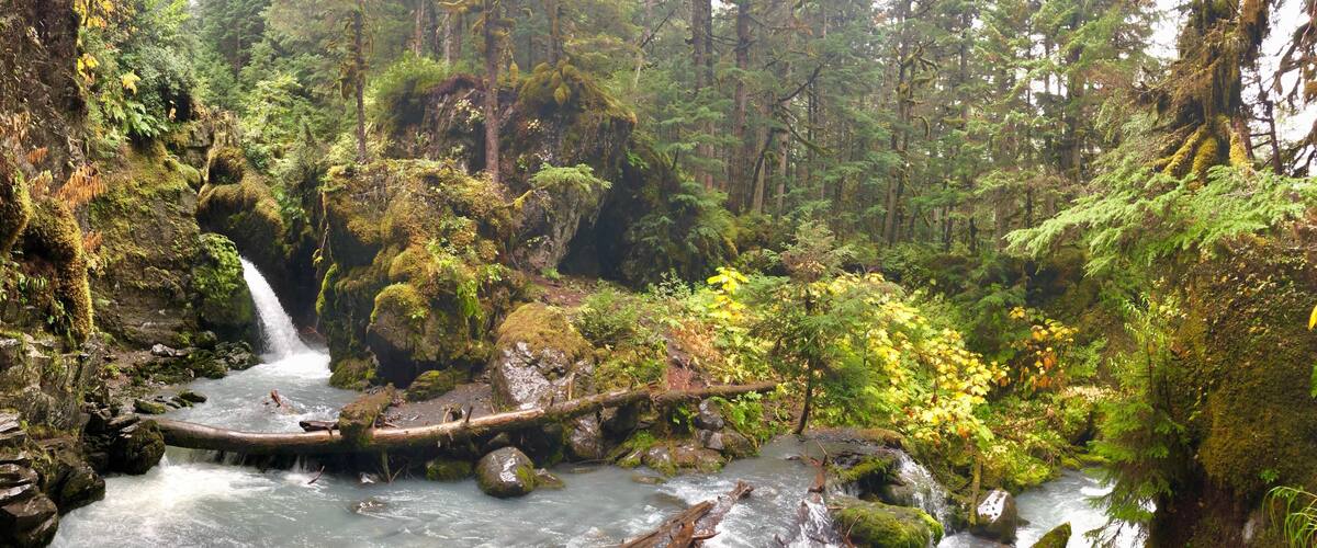 Virgin Creek Falls in Girdwood. Such an easy short hike in the rainforest to one of the most beautiful places I’ve ever seen. Fall colors in full display.
_
#Adventure #Girdwood #VirginCreekfalls