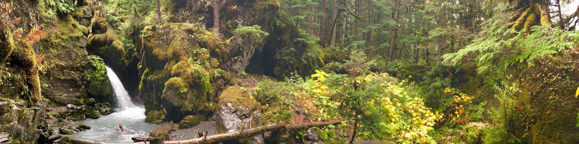 Virgin Creek Falls in Girdwood. Such an easy short hike in the rainforest to one of the most beautiful places I’ve ever seen. Fall colors in full display.
_
#Adventure #Girdwood #VirginCreekfalls