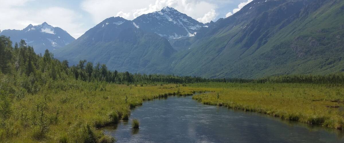 View from the salmon deck on the Rodak trail.