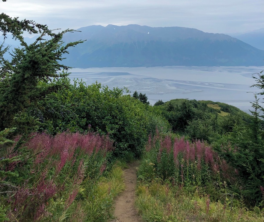 Bird Ridge trail overlooking the Seward Highway. Steep difficult trail makes you earn the beautiful view up top. Keeps you guessing with several false peaks as well!
_
#BirdRidge #Adventure