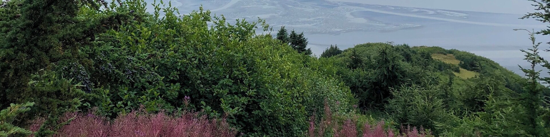 Bird Ridge trail overlooking the Seward Highway. Steep difficult trail makes you earn the beautiful view up top. Keeps you guessing with several false peaks as well!
_
#BirdRidge #Adventure