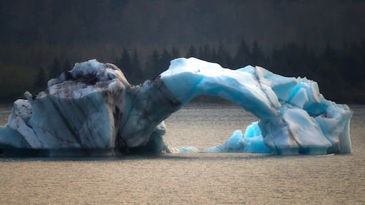 Ice berg visible didn’t even see it the day before. Huge