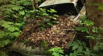 Old car along the bike trails of Kincaid Park.
