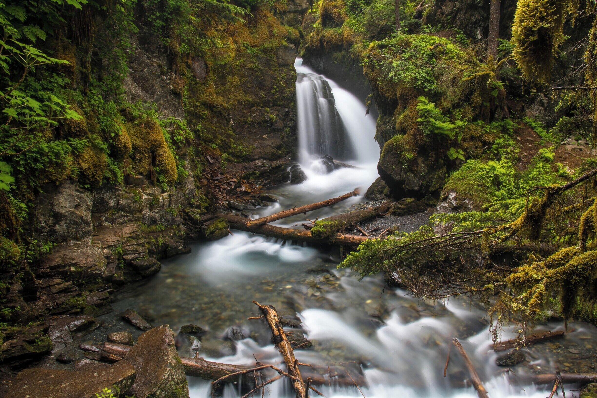A beautiful spot in the forest near Girdwood Alaska..