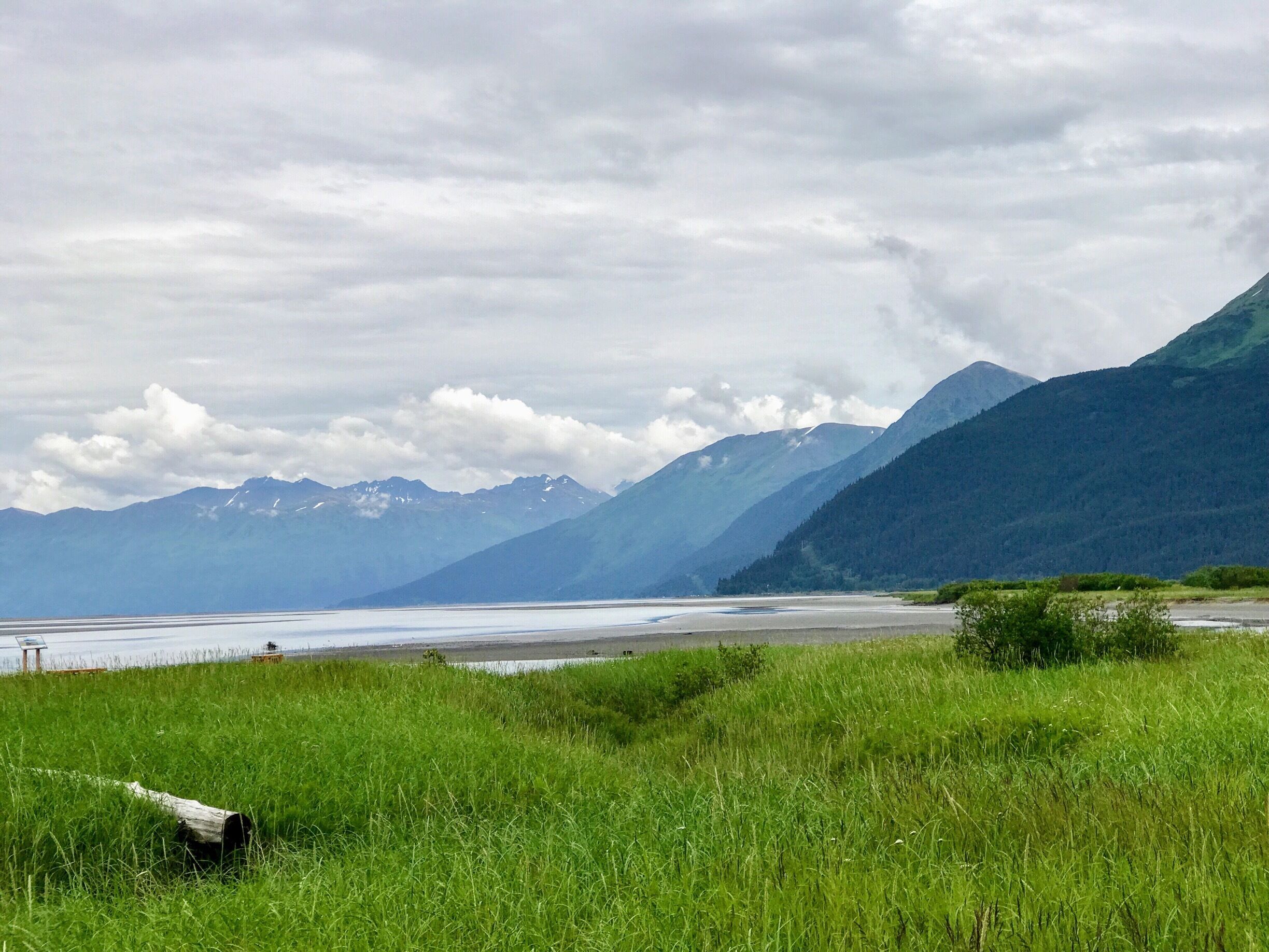 Great day visiting the animals...