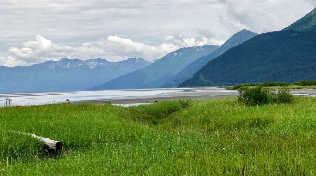 Great day visiting the animals...