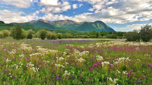 One beautiful place!