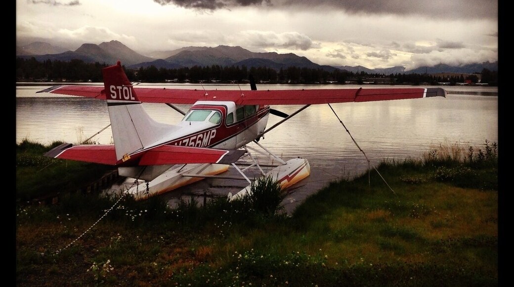 ทากู - แคมป์เบลล์