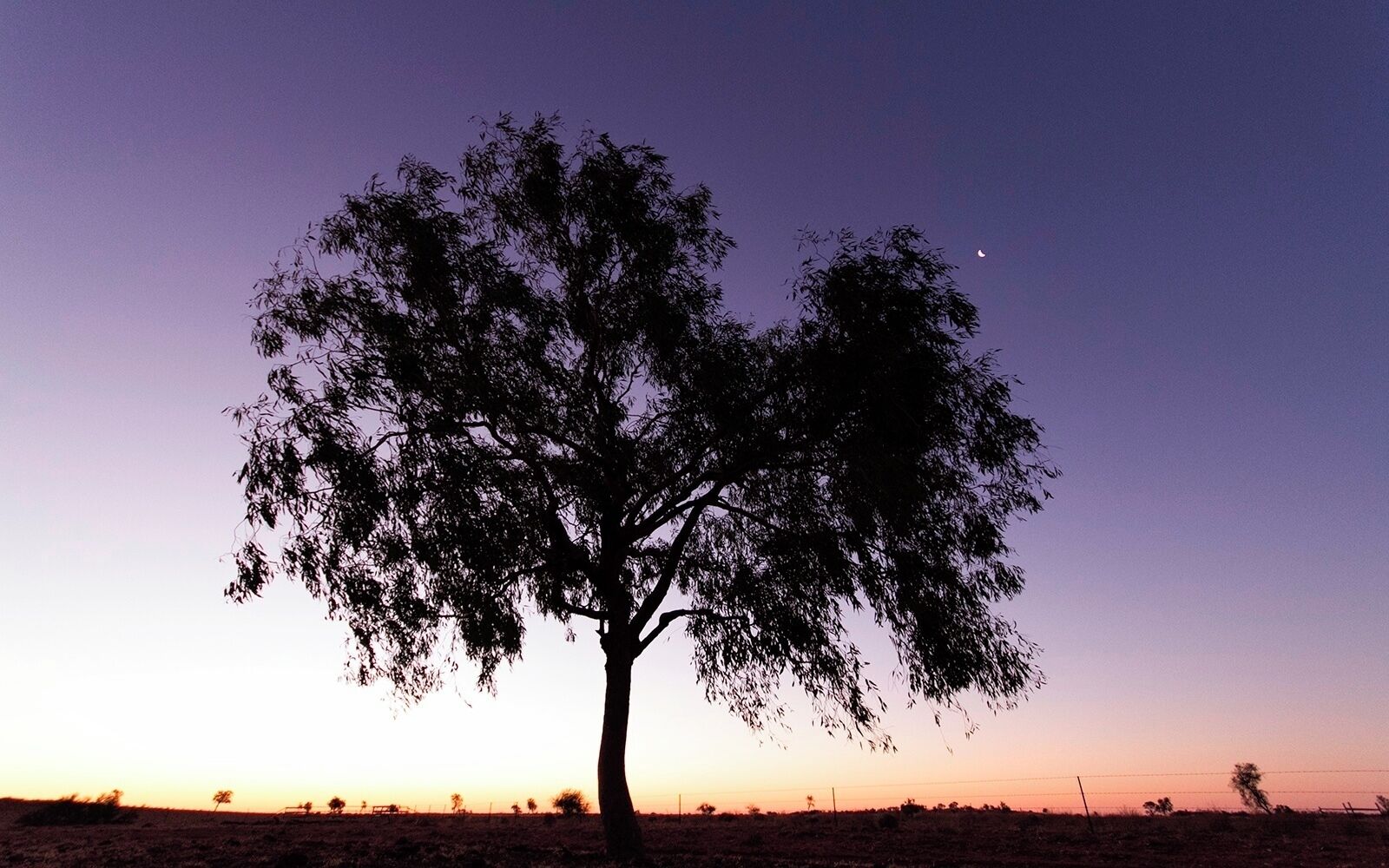 Don't miss out on photography this place. Amazing 