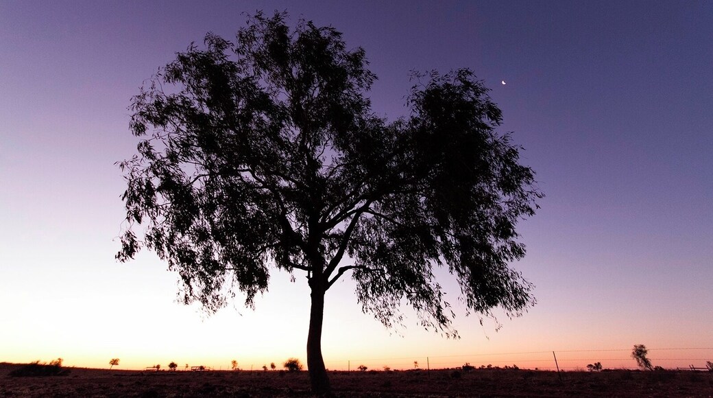 Don't miss out on photography this place. Amazing