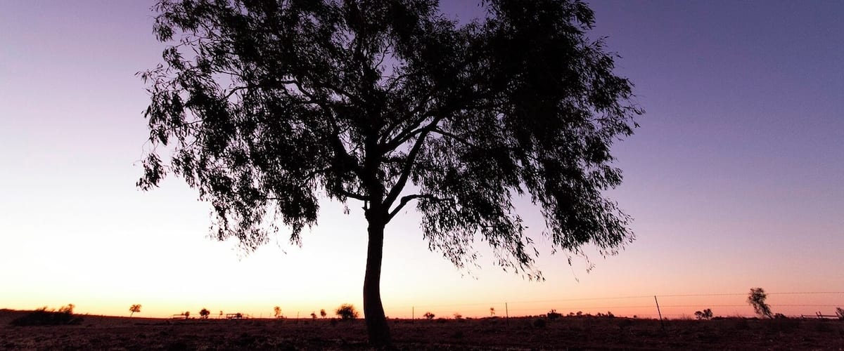 Don't miss out on photography this place. Amazing