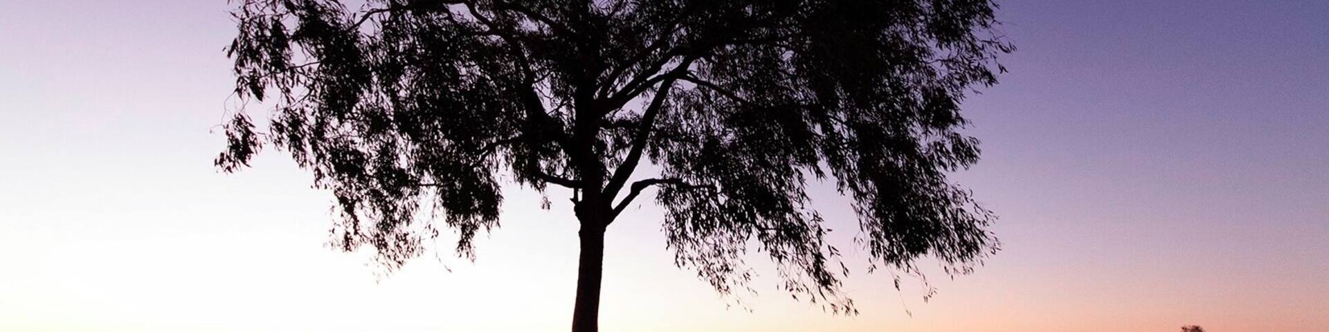 Don't miss out on photography this place. Amazing