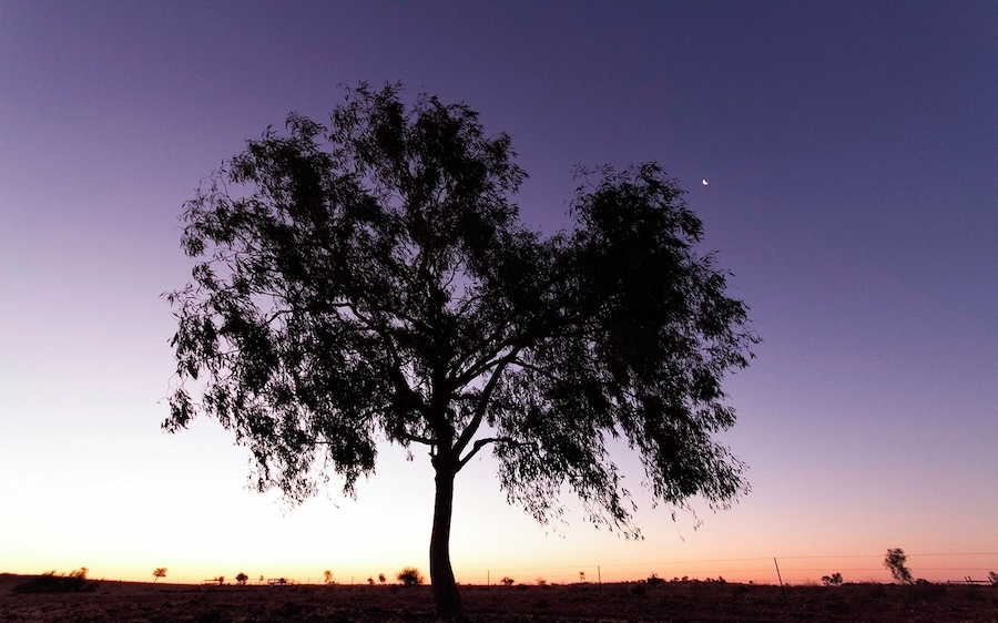 Don't miss out on photography this place. Amazing